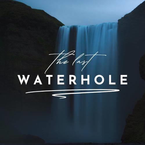 The Last Waterhole - Nightcrawl